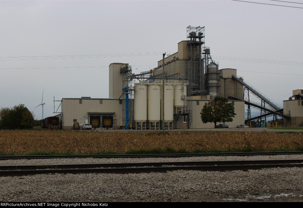 Cooperative Elevator Pigeon Bean Plant